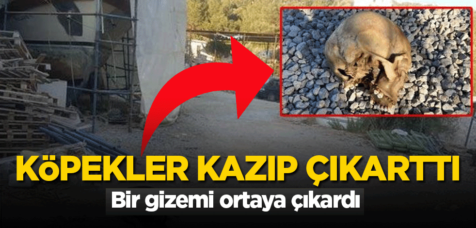 Bodrum'daki vahşette yeni gelişme: 4 kişi gözaltında