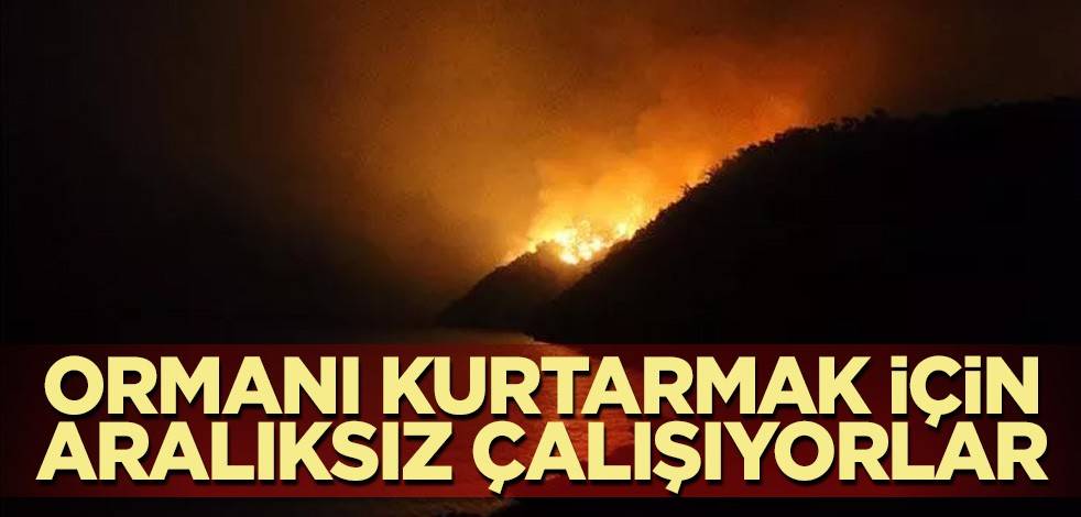 Bodrum'daki yangını söndürmek için ekipler aralıksız çalışıyor