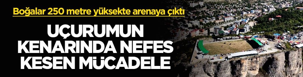 Boğalar 250 metre yüksekte arenaya çıktı! Uçurumun kenarında nefes kesen mücadele