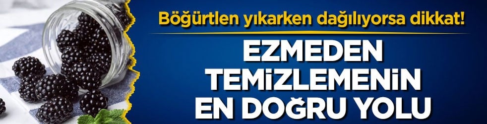 Böğürtlen yıkarken dağılıyorsa dikkat! Ezmeden temizlemenin en doğru yolu
