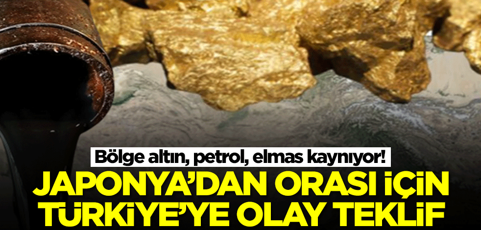 Bölge altın, petrol, elmas kaynıyor! Japonya'dan Türkiye'ye orası için flaş teklif