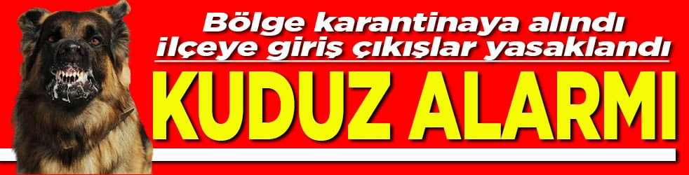 Bölge karantinaya alındı İlçeye giriş çıkışlar yasaklandı Kuduz alarmı