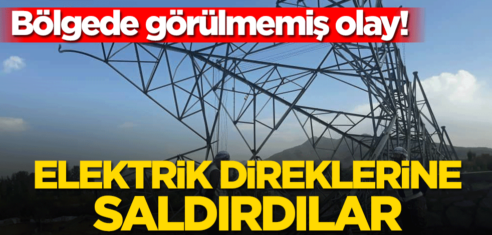 Bölgede görülmemiş olay! Elektrik direklerine saldırdılar