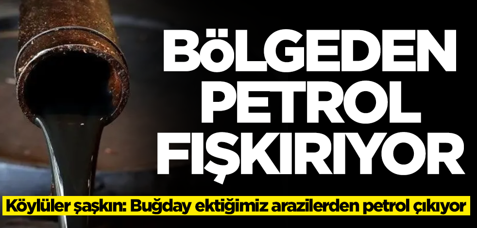 Bölgeden petrol fışkırdı! Köylüler şaşkın: Buğday ekiyorduk, petrol çıkmaya başladı