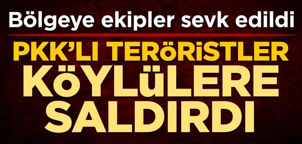 Bölgeye ekipler sevk edildi! Terör örgütü PKK köylülere saldırdı