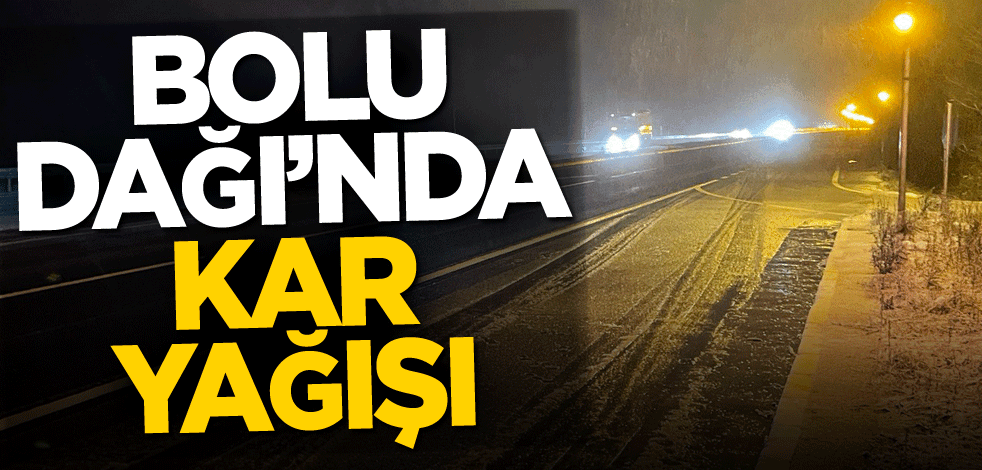 Bolu Dağı'nda kar yağışı