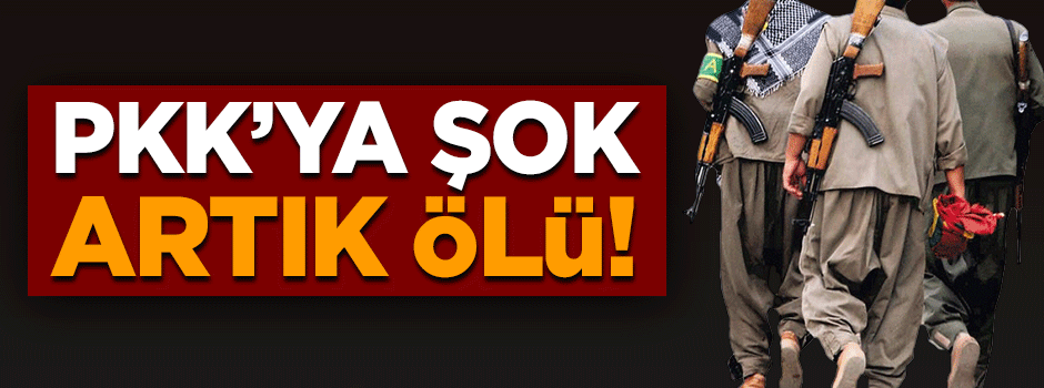 Bölücü örgüte ağır darbe! Sözde bölge sorumlusu artık ölü