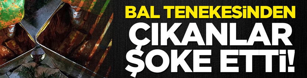 Bolu'da bal tenekesinden çıkanlar şoke etti!