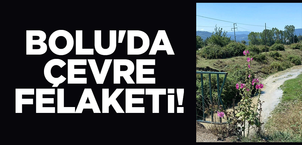 Bolu'da çevre felaketi!