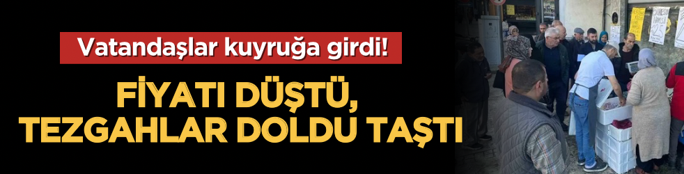 Bolu’da vatandaşlar oraya akın etti: Fiyat düştü, tezgahlar doldu taştı