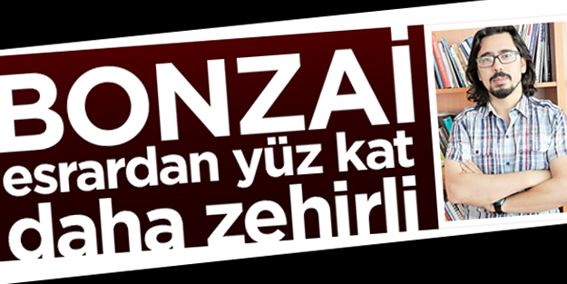 Bonzai, esrar’dan 100 kat daha zehirli