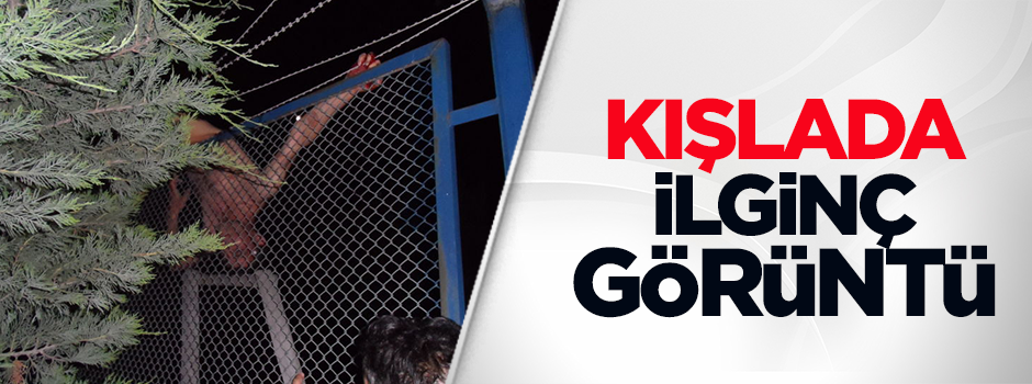 Bonzai içen genç, tellere sıkıştı