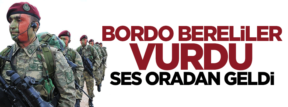 Bordo Bereliler PKK'yı vurdu, ses İngiltere'den geldi