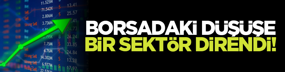 Borsadaki düşüşe bir sektör direndi!