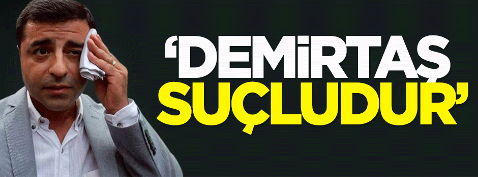 Börü: Demirtaş suçludur