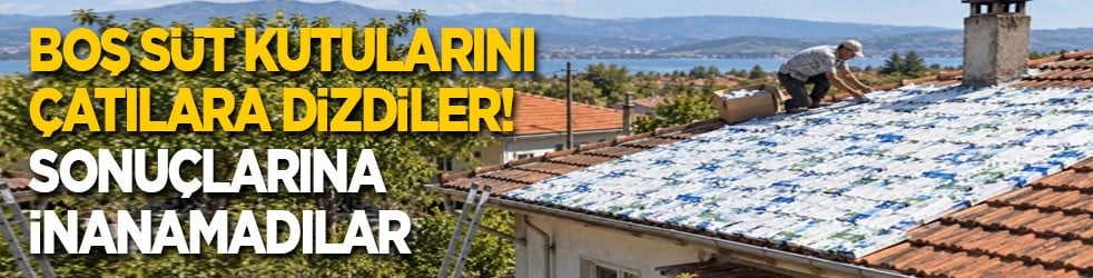 Boş süt kutularını çatılara dizdiler! Sonuçlarına inanamadılar
