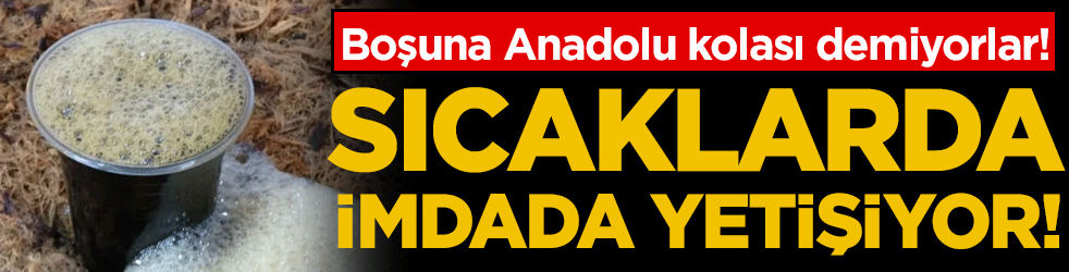 Boşuna Anadolu'nun kolası demiyorlar: Sıcaklarda imdada yetişiyor!