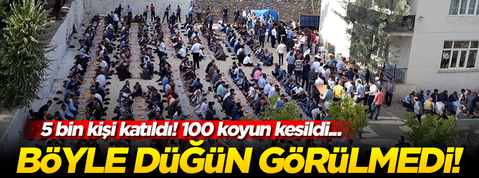 Böyle düğün görülmedi! 100 koyun kesildi...