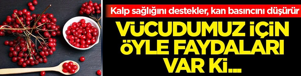 Böyle güçlü antidoksan deposu ile hastalıklara savaş açın: Uzmanların önerdiği Turna yemişi yakın mercek altında