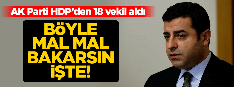 Böyle mal mal bakarsın işte!