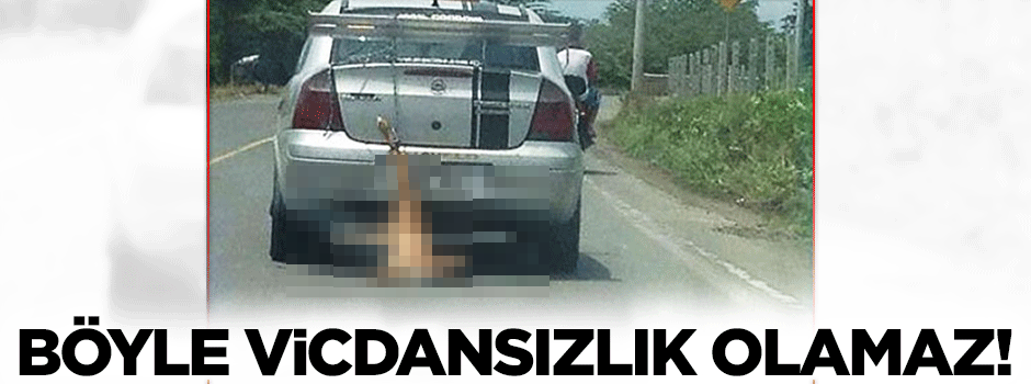 Böyle vicdansızlık olamaz