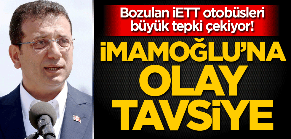 Bozulan İETT otobüsleri büyük tepki çekiyor! AK Parti Milletvekili Alpay Özalan'dan İmamoğlu'na olay tavsiye
