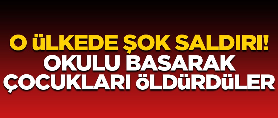 Brezilya'da korkunç olay! Okulu basıp çocukları öldürdüler