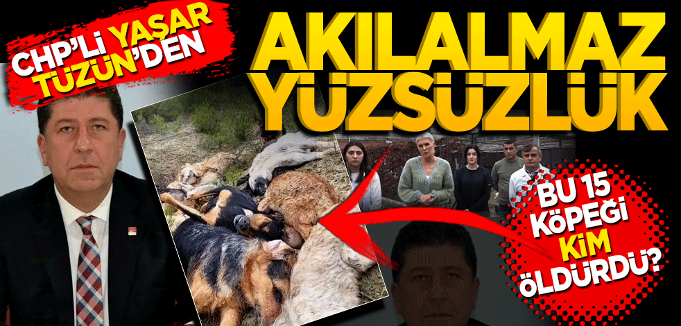 Bu 15 köpeği kim öldürdü? CHP’li Yaşar Tüzün’den akıl almaz yüzsüzlük