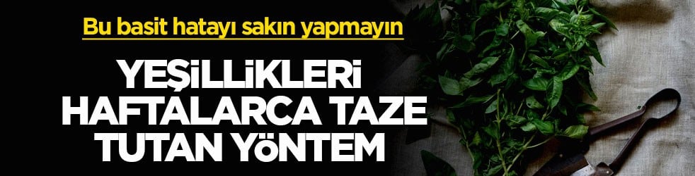 Bu basit hatayı sakın yapmayın! Yeşillikleri haftalarca taze tutan yöntem