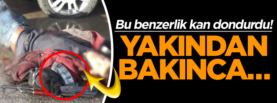 Bu benzerlik kan dondurdu! Yakından bakınca…