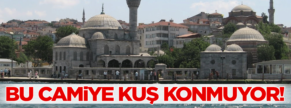 Bu camiye kuş konmuyor!