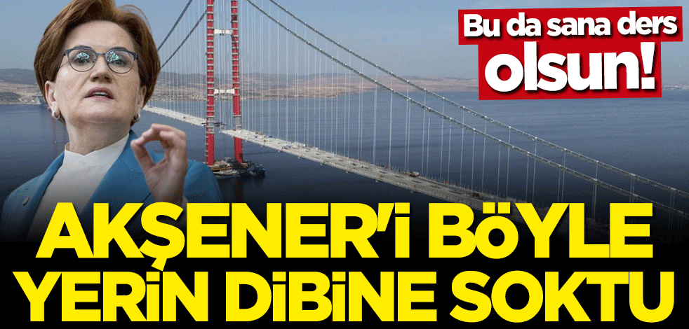 Bu da sana ders olsun! Bakan Meral Akşener'i yerin dibine soktu