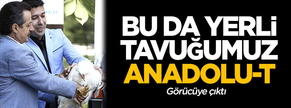 Bu da yerli tavuğumuz: Anadolu-T