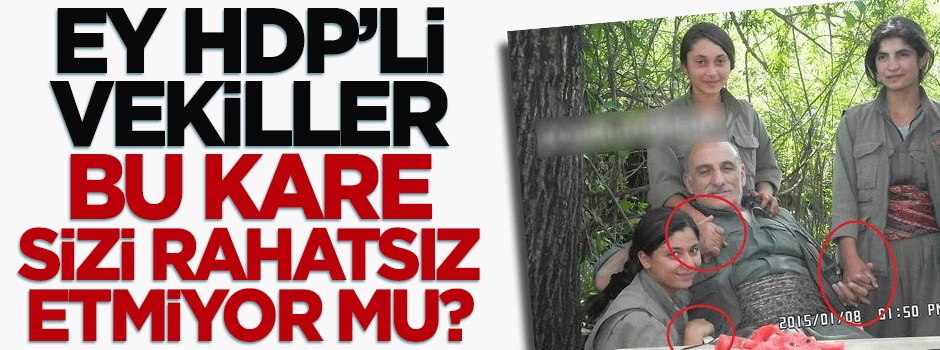 Bu fotoğraf HDP'lileri rahatsız etmiyor mu?