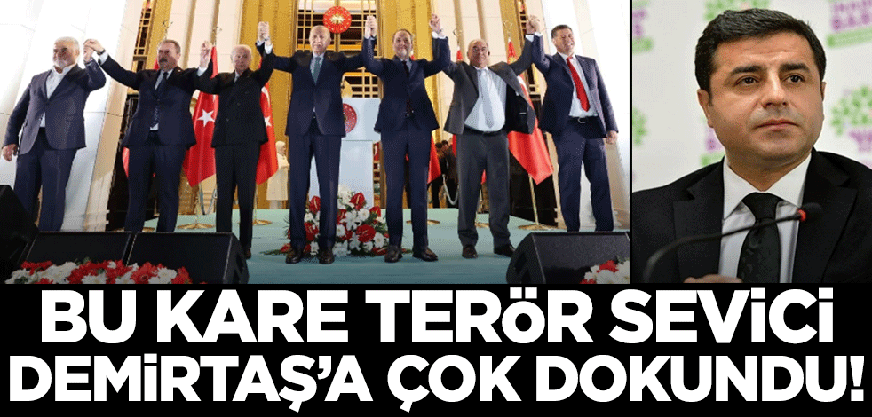 Bu fotoğraf terör sevici Selahattin Demirtaş'a çok dokundu!