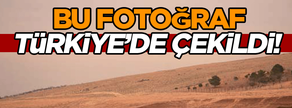 Bu fotoğraf Türkiye’de çekildi!