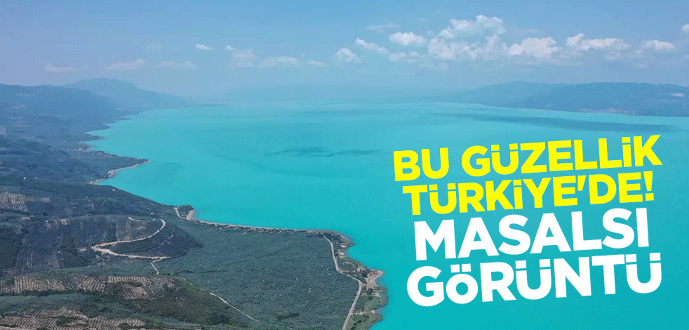 Bu güzellik Türkiye'de! İznik Gölü alg patlamasıyla turkuaz görünüme kavuştu