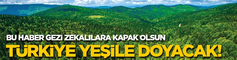 Bu haber Gezi zekalılara kapak olsun! Türkiye yeşile doyacak!