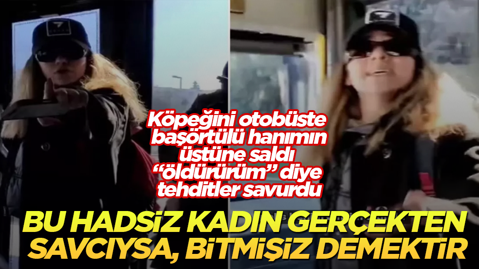 Bu hadsiz kadın gerçekten savcıysa, bitmişiz demektir! Köpeğini otobüste vatandaşların üstüne saldı, "Öldürürüm" diye tehditler savurdu