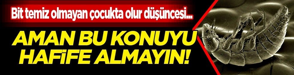  Bu hatayı sakın yapmayın... Uzmanından kritik uyarı: Bit temizliği çocuklarda korku yapıyor diyor... Büyük yanlışlık 