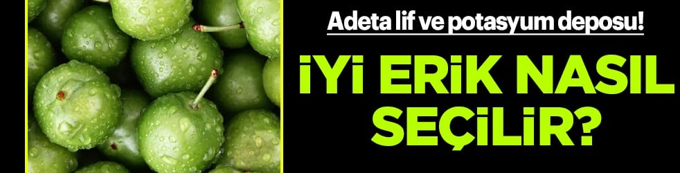 Bu hususlara dikkat! Adeta lif ve potasyum deposu! İşte uzmanından iyi erik seçme yöntemi...
