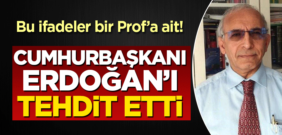 Bu ifadeler bir Prof'a ait: Cumhurbaşkanı Erdoğan'ı tehdit etti