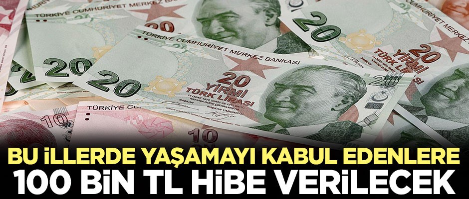 Bu illerde yaşamayı kabul edenlere 100 bin TL hibe verilecek