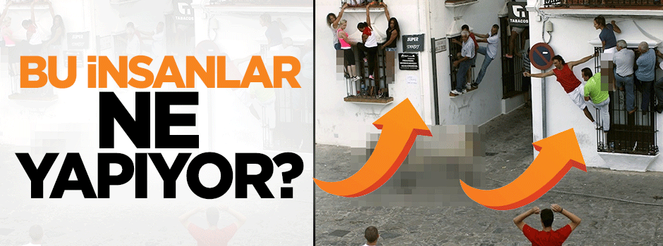 Bu insanlar ne yapıyor?