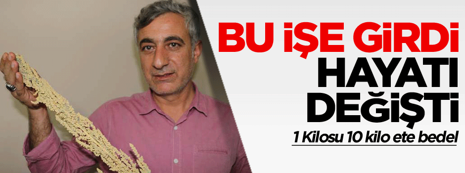 Bu işe girdi hayatı değişti… 1 Kilosu 10 kilo ete bedel