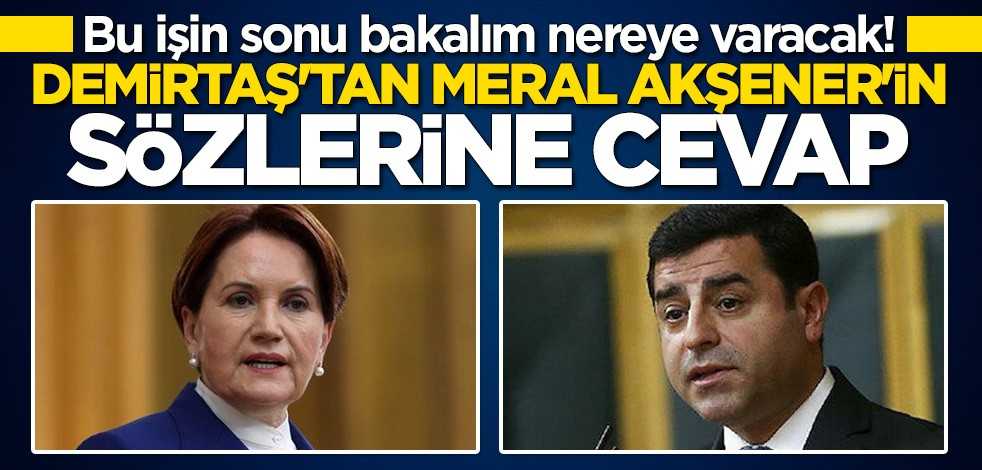 Bu işin sonu bakalım nereye varacak! Selahattin Demirtaş'tan Meral Akşener'in sözlerine cevap