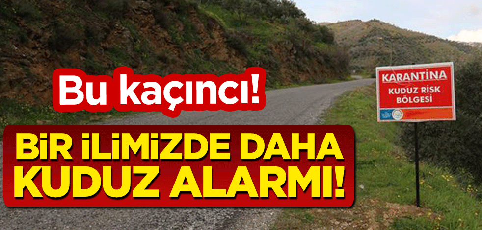 Bu kaçıncı! Bir ilimizde daha kuduz alarmı!