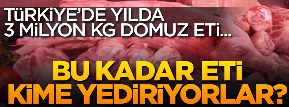 Bu kadar domuz etini kime yediriyorlar?