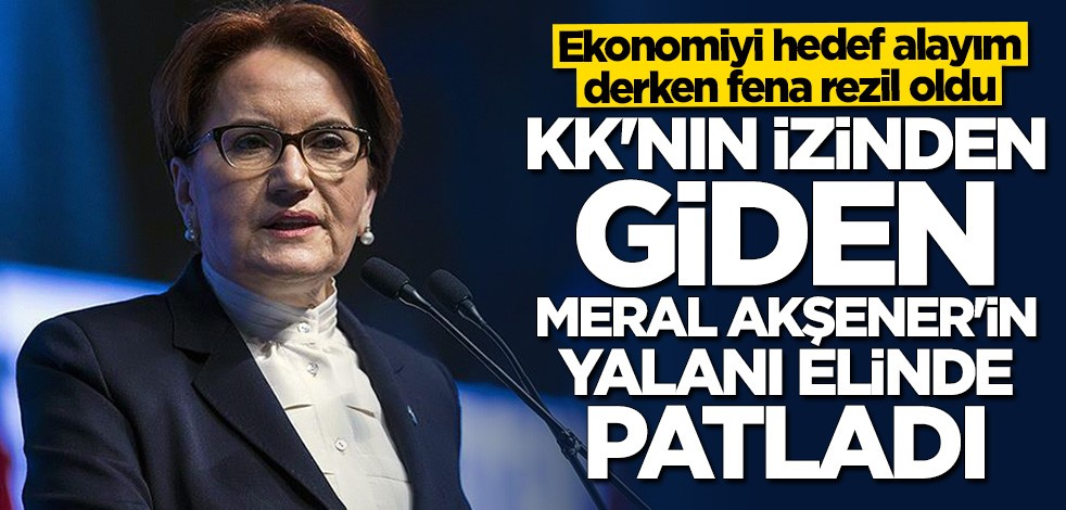Bu kadar mı düştünüz? Meral Akşener'in "peynir" yalanı ortaya çıktı