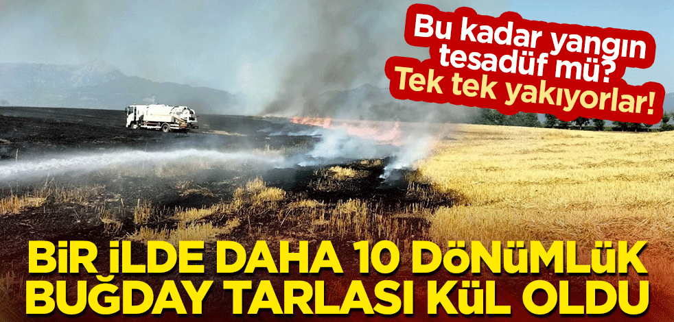 Bu kadar yangın tesadüf mü? Tek tek yakıyorlar! Bir ilde daha 10 dönümlük buğday tarlası kül oldu